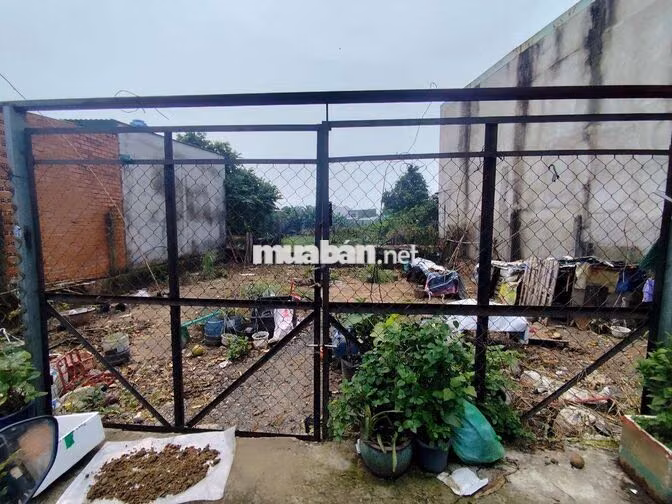 Bán đất mặt tiền Lê Thị Hồng Gấm Hóc Môn 120m2 giá 2.99 tỷ