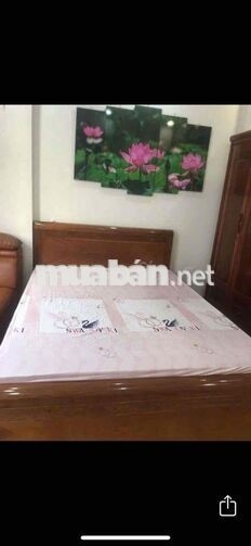 cho thuê căn hộ khép kín TT tL cảnh vệ