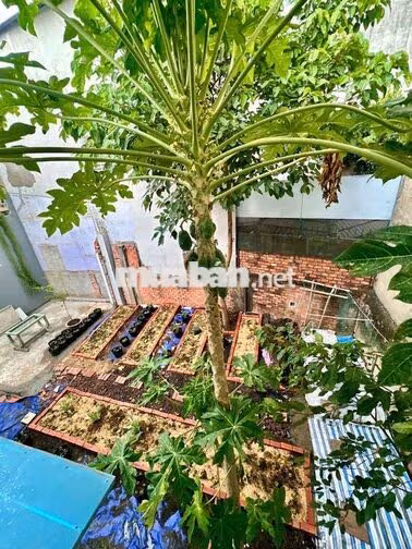 CHÍNH CHỦ CHO THUÊ NHÀ SÂN VƯỜN NGỎ OTO GIÁ 13TR5 CÒN BỚT