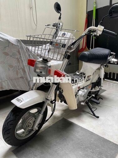 Honda Chaly Trắng