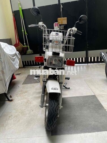 Honda Chaly Trắng