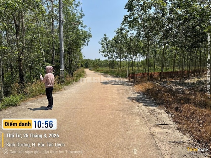  CÔNG TY ĐẤU GIÁ HỢP DANH MINH PHÁP THÔNG BÁO ĐẤU GIÁ TÀI SẢN