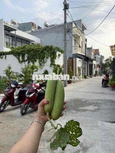 CHỦ GỞI BÁN NHÀ ĐẸP 4PN HẺM Ô TÔ TẬN NHÀ