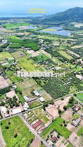 BÁN LÔ ĐẤT VƯỜN 307M2 NGANG 10 SẲN RÀO CHỈ 1Ty800, CHÂN NÚI MINH ĐẠM  