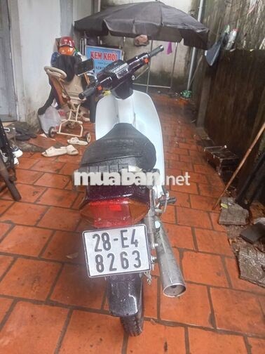 Honda Dream 2024 Trắng đen