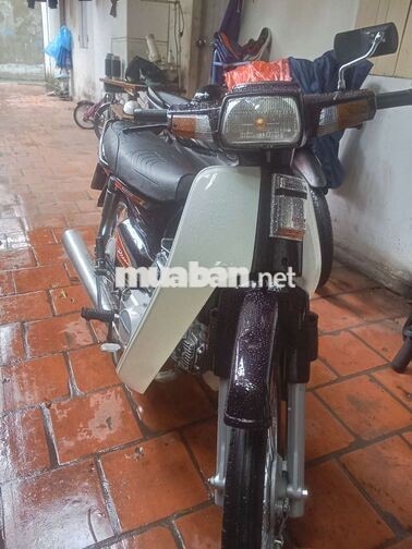 Honda Dream 2024 Trắng đen