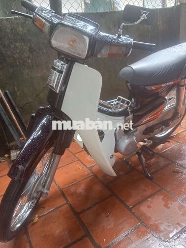 Honda Dream 2024 Trắng đen