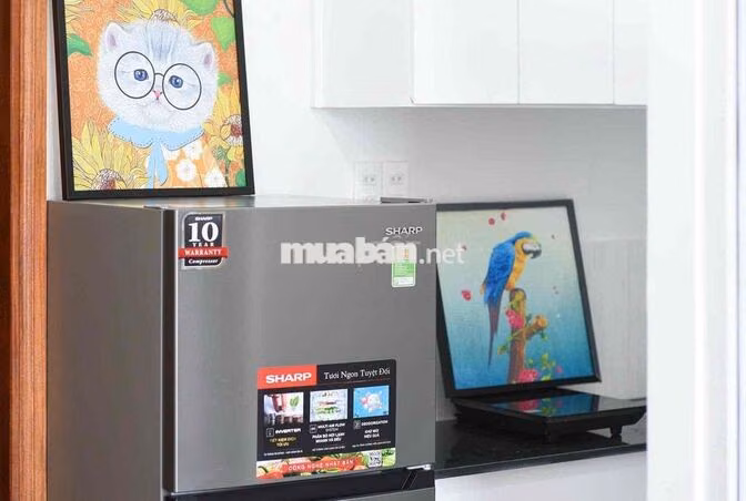 🏡 MỘT PHÒNG NGỦ TÁCH BẾP - HƠN 40M2 – FULL NỘI THẤT | TRƯỜNG SƠN, TÂN