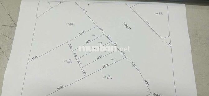 ĐẤT THỔ CƯ MẶT TIỀN ĐƯỜNG D1 LONG HỒ, XÃ LONG HỒ TỈNH VĨNH LONG