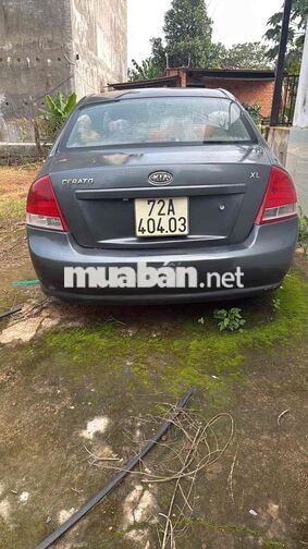 Kia Cerato 2008 Xám