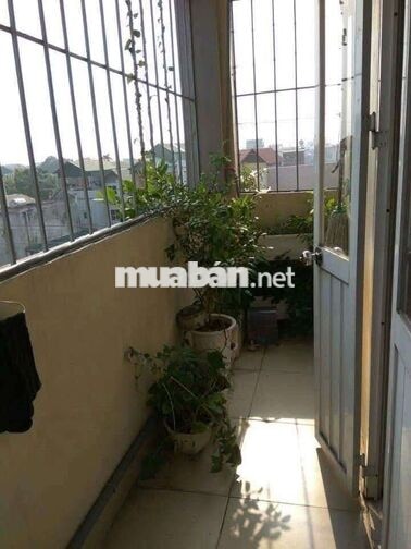 🔥 BÁT KHỐI – CỰ KHỐI | NHẬN NHÓM Ở, GIỮ NHÀ | 2PN | 6TR/THÁNG 🔥