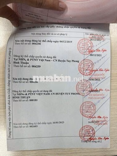 Vị trí vàng cho các nhà đầu tư : mặt tiền đắc địa