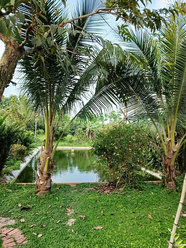 ĐẤT VƯỜN TẠI TP ĐỒNG NAI, HƠN 1000M2 MÀ CHỈ 380 TRIỆU