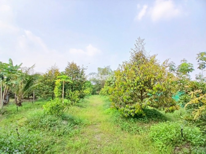 ĐẤT VƯỜN TẠI TP ĐỒNG NAI, HƠN 1000M2 MÀ CHỈ 380 TRIỆU
