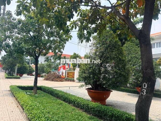 Cho thuê mặt bằng 577m² (25x23m) vị trí đẹp, phù hợp kinh doanh lớn