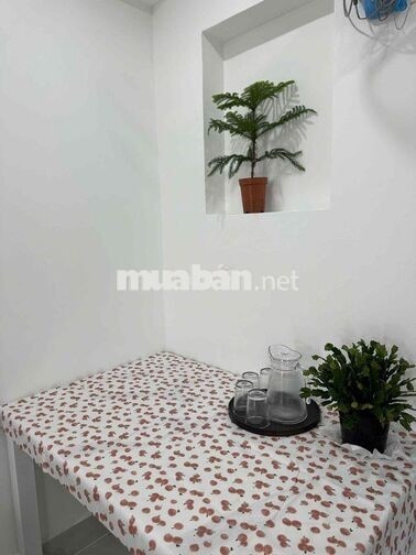 CHO THUÊ CĂN HỘ 2 PHÒNG NGỦ SIÊU XINH KHU VỰC PHƯỜNG 9 VIEW RỪNG THÔNG