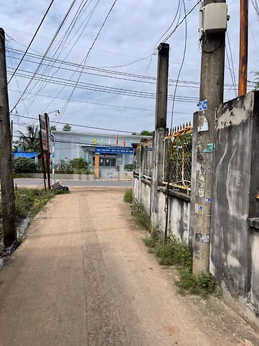 Alisa cho thuê nhà nguyên căn gần trường tiểu học Phú Thạnh