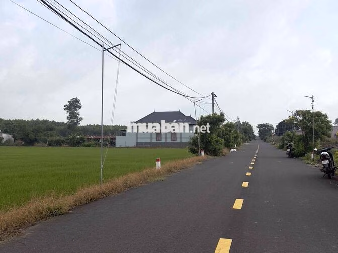 Vài tháng nữa không còn hàng đẹp với giá này nữa vị trí sát quốc lộ 55