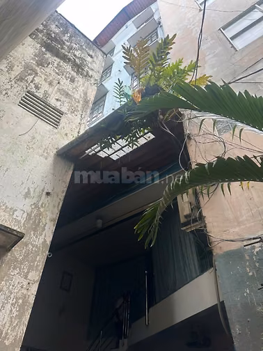 Cho thuê nhà mặt tiền nguyên căn 92B Trần Quốc Toản, P.Xuân Hòa, 6x15m