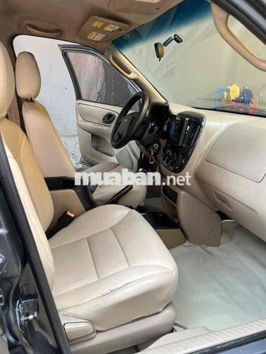 Ford Escape XLT 2003 Xám