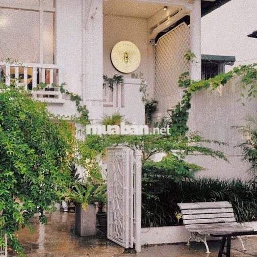 🔥 NGANG 16M HOA MAI, PHÚ NHUẬN – DIỆN TÍCH LỚN 600M², NHÀ 3 TẦNG! ✨