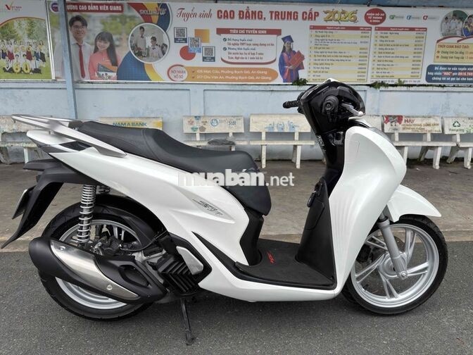 Honda SH 125 2024 Trắng
