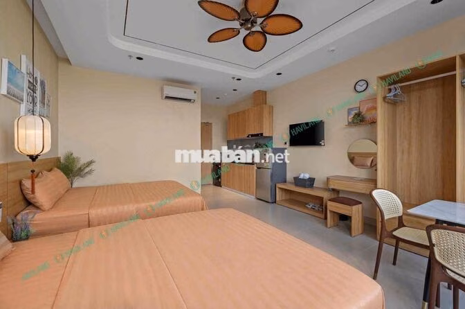 🏢 TÒA NHÀ MỚI – STUDIO ĐẸP | GẦN BIỂN 🌊