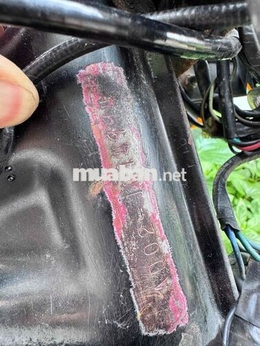 Honda Raccoon Xanh lá 50cc Nhật Bản