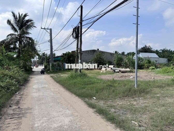 Đất 101m2 full thổ cư Xã Bình Đức, Châu Thành, Tiền Giang (cũ)