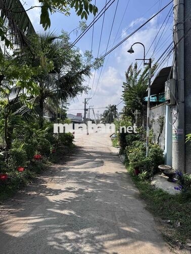 Đất 101m2 full thổ cư Xã Bình Đức, Châu Thành, Tiền Giang (cũ)