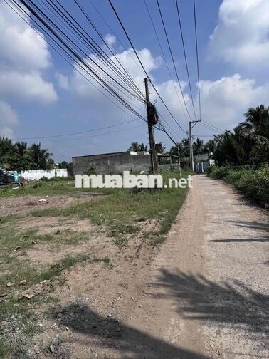 Đất 101m2 full thổ cư Xã Bình Đức, Châu Thành, Tiền Giang (cũ)
