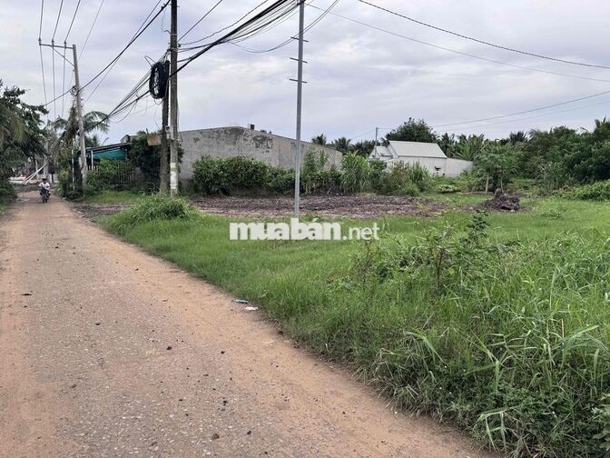 Đất 101m2 full thổ cư Xã Bình Đức, Châu Thành, Tiền Giang (cũ)