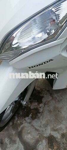 Honda Vision 2013 Trắng