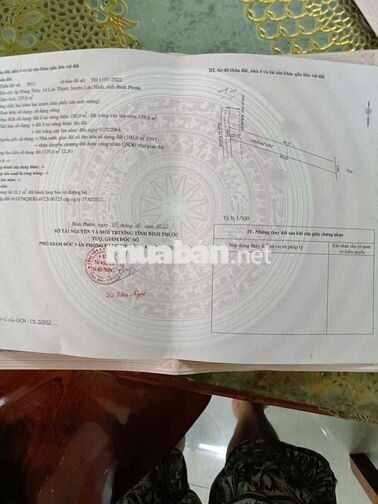 ĐẤT ĐẸP GIÁ TỐT – SỔ HỒNG RIÊNG SẴN SÀNG GIẢI NGÂN