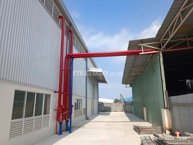 Cho Thuê Kho Xưởng 800m2, 2400m2, 3000m2 KCN Tân Tạo - Giá từ 4.8 usd