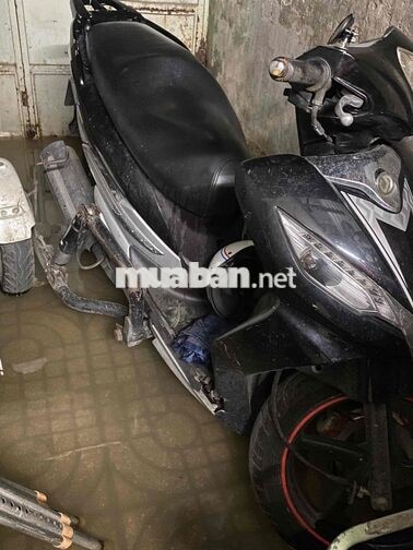 SYM Shark 125 Đen