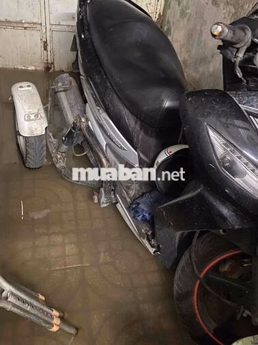SYM Shark 125 Đen