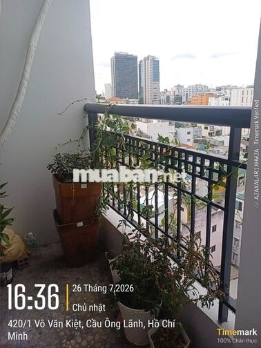 Bancong View Sông - Thế Hệ Mới quận 1 - NGOÀI RANH TOD