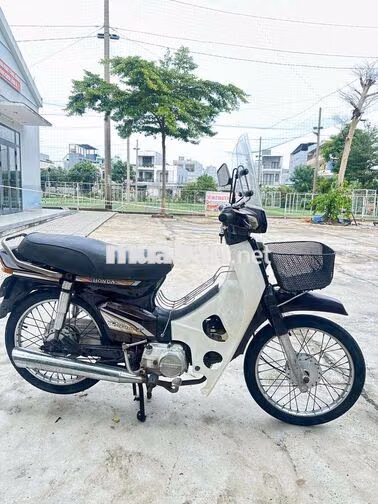 Honda Dream Daehan Trắng, Nâu Việt Nam