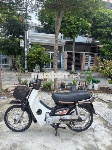 Honda Dream Daehan Trắng, Nâu Việt Nam