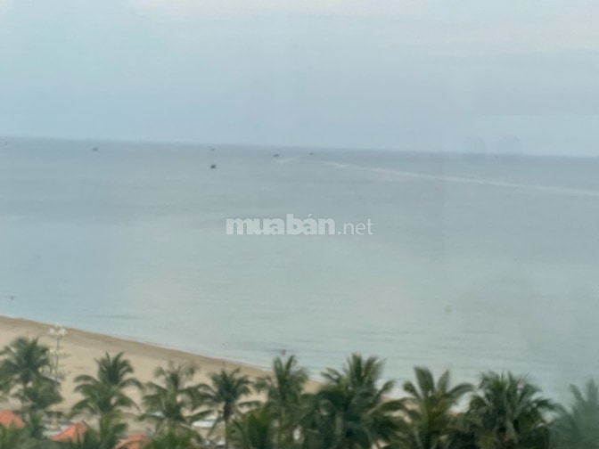 Bán biệt thự song lập hướng trực diện biển.