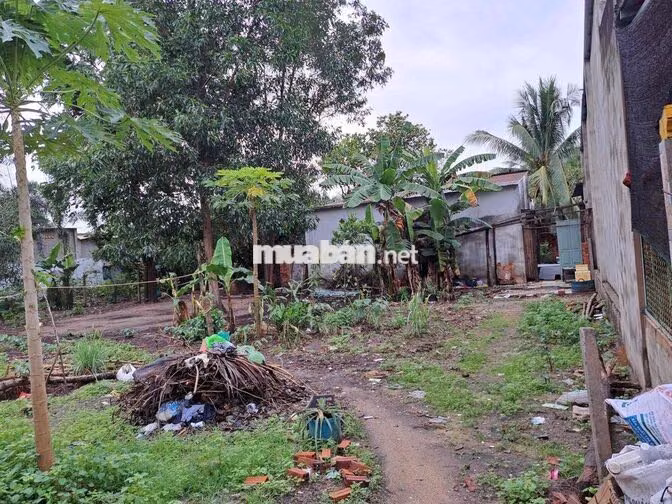 BÁN ĐẤT LONG PHƯỚC, TP.ĐỒNG NAI: 453,7m2 có 100m thổ cư