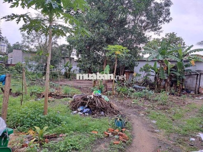 BÁN ĐẤT LONG PHƯỚC, TP.ĐỒNG NAI: 453,7m2 có 100m thổ cư