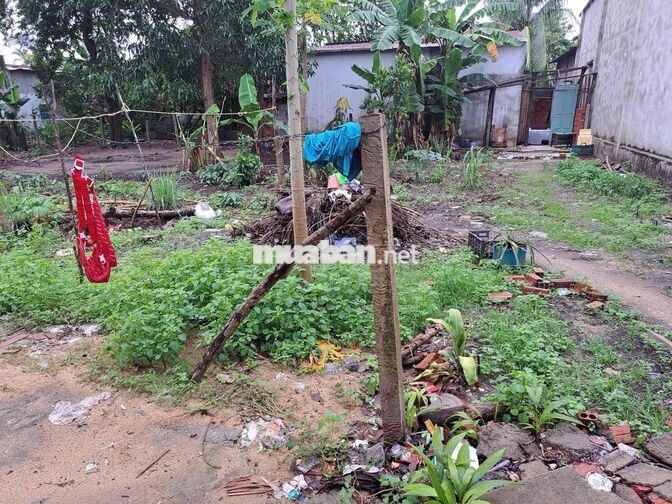 BÁN ĐẤT LONG PHƯỚC, TP.ĐỒNG NAI: 453,7m2 có 100m thổ cư