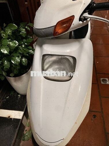 Honda Spacy 125 Trắng Nhật