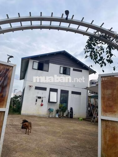 🏡 BÁN ĐẤT TẶNG NHÀ, GẦN CHÙA BÁT NHÃ – 2 MẶT TIỀN ĐƯỜNG NHỰA 8m & 6m,