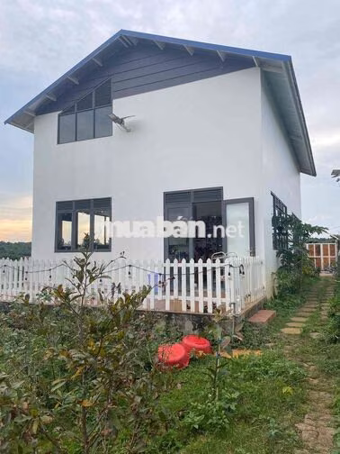 🏡 BÁN ĐẤT TẶNG NHÀ, GẦN CHÙA BÁT NHÃ – 2 MẶT TIỀN ĐƯỜNG NHỰA 8m & 6m,