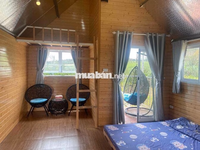 🏡 BÁN ĐẤT TẶNG NHÀ, GẦN CHÙA BÁT NHÃ – 2 MẶT TIỀN ĐƯỜNG NHỰA 8m & 6m,