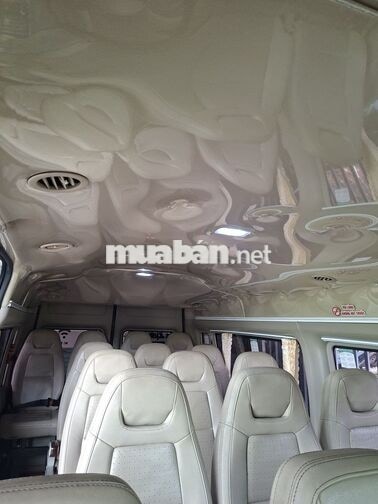 Ford Transit Luxury 2016 16 chỗ Bạc