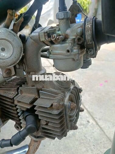 Honda Cub 86 50cc Xanh